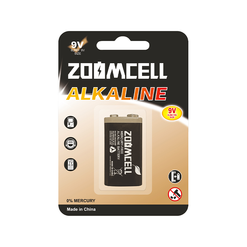 6LR61 9V Alkaline Batteries